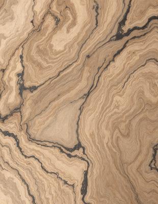 The primary subject of the image is a close-up of a marble countertop. The setting is a kitchen, with the marble countertop being the main focus of the scene. The visual style is a photo, capturing the natural texture and beauty of the marble. The colors and mood of the image are predominantly brown and earthy, giving the scene a warm and natural atmosphere.