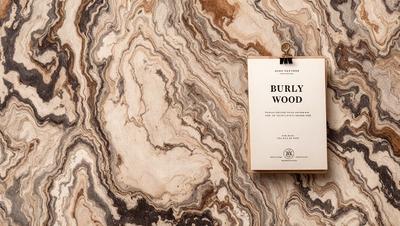 The primary subject of the image is a book, which is hanging from a hook on a marble wall. The setting is a marble wall, and the visual style appears to be a photo. The colors and mood of the image are predominantly brown and earthy, giving it a natural and classic feel.