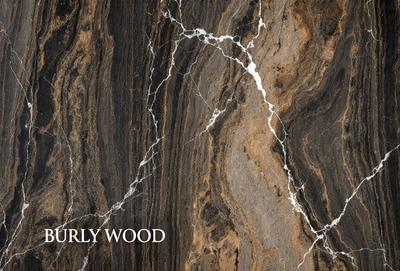 The image features a marble-like stone surface with a patterned texture. The primary subject is a close-up of the stone, showcasing its unique design. The setting is a natural environment, possibly a stone wall or a countertop. The visual style is a close-up of the stone, emphasizing its texture and pattern. The colors and mood of the image are predominantly earthy tones, giving it a natural and elegant appearance.