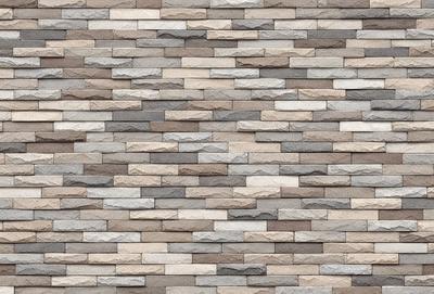 The primary subject of the image is a large, textured wall made of stone or brick. The setting is an outdoor environment, with the wall serving as a backdrop. The visual style is a close-up of the wall, showcasing its texture and details. The colors and mood of the image are predominantly earthy tones, giving it a natural and rustic appearance.