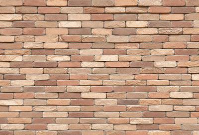 The primary subject of the image is a brick wall. The setting is a brick wall with a brown color, and the visual style is a photo. The colors and mood of the image are warm and earthy, with a focus on the natural texture of the brick wall.