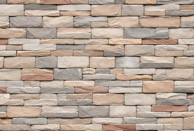 The primary subject of the image is a large, textured brick wall. The setting is a stone wall, and the visual style is a photo. The colors and mood of the image are predominantly neutral, with a focus on the natural texture and appearance of the brick wall.