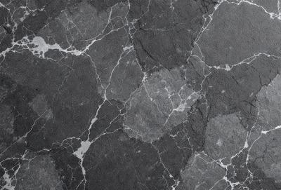 The primary subject of the image is a close-up of a marble surface with a pattern of circles. The setting is a black and white photo, which gives the image a classic and timeless appearance. The visual style is a combination of a photo and a pattern, creating a unique and intricate design. The colors and mood of the image are predominantly black and white, giving it a sophisticated and elegant feel.