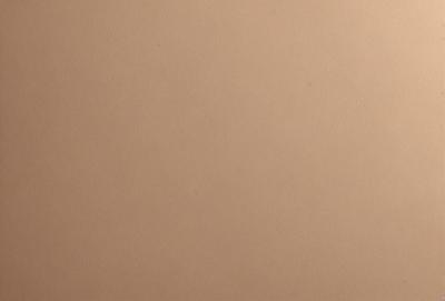The image features a large, empty wall with a brown color. The wall appears to be made of wood, giving it a natural and warm appearance. The lack of any other objects or decorations on the wall creates a sense of simplicity and minimalism.