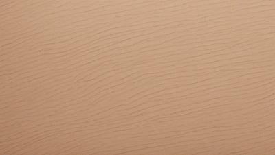 The image features a brown wall with a smooth texture. The wall appears to be made of wood or a similar material. The primary subject of the image is the wall, which serves as the main focus of the scene. The setting is indoors, and the visual style is a close-up of the wall. The colors and mood of the image are warm and natural, with the brown color of the wall creating a sense of warmth and comfort.