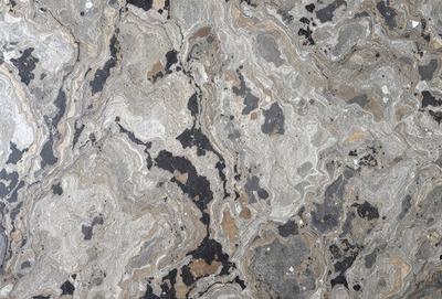 The primary subject of the image is a close-up of a marble surface with a pattern of black and white. The setting is a stone wall, and the visual style appears to be a photo. The colors and mood of the image are predominantly black and white, giving it a classic and elegant appearance.
