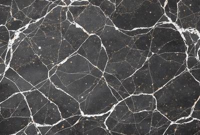 The primary subject of the image is a black and white marble tile with a pattern of white dots. The setting is a black and white marble wall, which serves as the background. The visual style is a close-up of the marble tile, showcasing its intricate pattern. The colors and mood of the image are predominantly black and white, giving it a classic and elegant appearance.