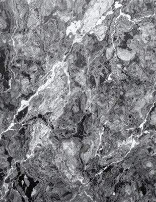 The primary subject of the image is a close-up of a marble surface, showcasing its intricate patterns and textures. The setting is a black and white photograph, which adds a timeless and classic feel to the image. The visual style is a high-quality photo, capturing the details of the marble surface. The colors and mood of the image are predominantly black and white, giving it a sophisticated and elegant appearance.