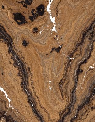 The primary subject of the image is a close-up of a marble stone with a unique and intricate pattern. The setting is a natural environment, with the marble stone being the main focus of the image. The visual style is a close-up of the marble, showcasing its texture and details. The colors and mood of the image are predominantly earthy tones, giving it a natural and elegant appearance.