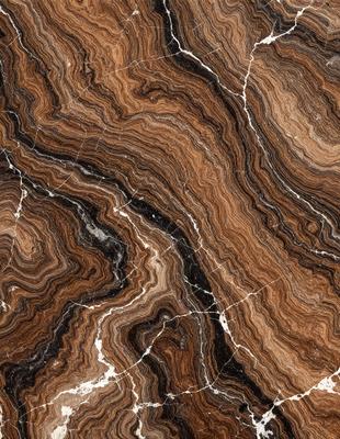 The primary subject of the image is a marble slab with a unique and intricate pattern. The setting is a natural environment, possibly a stone or marble quarry. The visual style is a close-up of the marble slab, showcasing its texture and details. The colors and mood of the image are predominantly earthy tones, giving it a natural and timeless appearance.