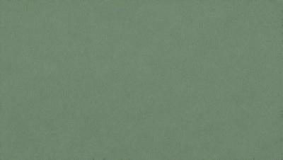 The primary subject of the image is a large, green surface. The setting is a plain, empty room with no visible objects or people. The visual style is a close-up of the green surface, which appears to be a wall or a piece of fabric. The colors and mood of the image are predominantly green, giving it a calm and serene atmosphere.