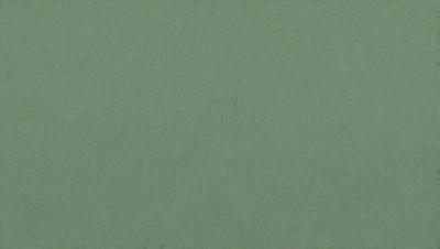 The primary subject of the image is a green background. The setting is a plain, unadorned surface. The visual style is a close-up of the green background, which appears to be a fabric or a wallpaper. The colors and mood of the image are predominantly green, creating a calm and serene atmosphere.