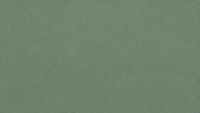 The primary subject of the image is a green background. The setting is a plain, uncluttered space with no visible objects or people. The visual style is a close-up of the green background, which appears to be a fabric or a wallpaper. The colors and mood of the image are predominantly green, creating a calm and serene atmosphere.