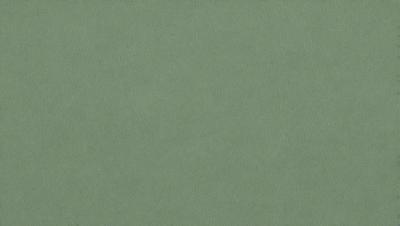 The primary subject of the image is a large, green surface. The setting is a plain, empty room with no visible objects or people. The visual style is a close-up of the green surface, which appears to be a textured or patterned material. The colors and mood of the image are predominantly green, creating a calm and serene atmosphere.