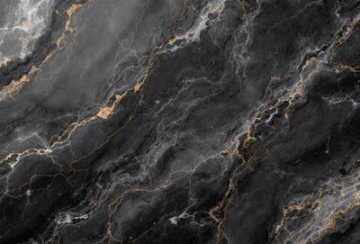 The primary subject of the image is a black and gold marble wall. The setting is a dark room with a black and gold marble wall as the main focus. The visual style is a close-up of the marble wall, showcasing its intricate patterns and textures. The colors and mood of the image are predominantly black and gold, creating a luxurious and elegant atmosphere.