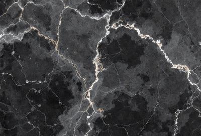 The primary subject of the image is a marble surface with a pattern of swirls and lines. The setting is a black and white photo, which gives the image a classic and timeless appearance. The visual style is a close-up of the marble surface, showcasing the intricate details of the swirls and lines. The colors and mood of the image are predominantly black and white, creating a sense of elegance and sophistication.