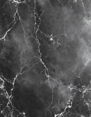 The image features a black and white marble wall with a pattern of white veins. The wall appears to be a part of a building, possibly a museum or an art gallery. The overall atmosphere of the image is elegant and sophisticated, with the marble wall serving as a striking visual element.