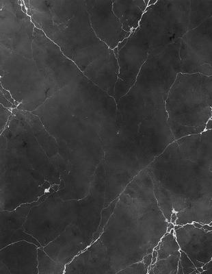 The image features a black and white marble wall with a pattern of holes. The wall appears to be a part of a building, possibly a bathroom or a kitchen. The marble pattern creates a unique and elegant appearance. The overall atmosphere of the image is sophisticated and timeless.