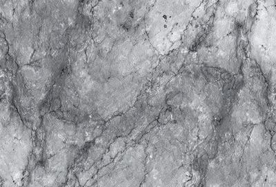 The primary subject of the image is a marble surface with a pattern of swirls and curves. The setting is a stone wall, and the visual style is a close-up of the marble surface. The colors and mood of the image are predominantly gray, giving it a natural and elegant appearance.