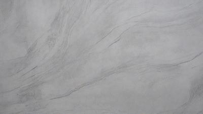 The primary subject of the image is a large, intricate, and detailed drawing of a tree branch. The setting is a white background, which provides a clean and minimalist appearance. The visual style is a combination of digital art and illustration, creating a unique and artistic representation of the tree branch. The colors and mood of the image are predominantly neutral, with a focus on the contrast between the white background and the tree branch drawing.