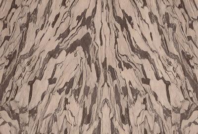 The primary subject of the image is a wooden surface with a unique and intricate pattern. The setting is a close-up view of the wooden surface, showcasing the details of the pattern. The visual style is a close-up of the wooden surface, which gives a sense of depth and texture. The colors and mood of the image are predominantly brown and earthy tones, creating a natural and organic atmosphere.