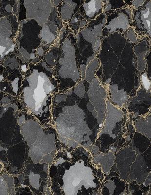 The primary subject of the image is a close-up of a marble wall with a gold and black pattern. The setting is a room with a black and gold marble wall, which serves as the background. The visual style is a close-up of the marble wall, showcasing the intricate pattern and texture. The colors and mood of the image are predominantly black and gold, creating a luxurious and elegant atmosphere.