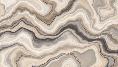 The primary subject of the image is a close-up of a marble-like patterned surface. The setting is a rocky, textured surface, which adds to the visual style. The colors in the image are predominantly grays and browns, creating a natural and earthy atmosphere.