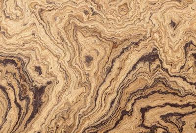 The image features a close-up of a wooden surface with a unique and intricate pattern. The wooden surface appears to be a piece of wood with a swirling, curved design. The pattern is reminiscent of a wood grain, giving the impression of a natural, organic texture. The colors in the image are predominantly brown, which adds to the warm and earthy atmosphere of the scene.