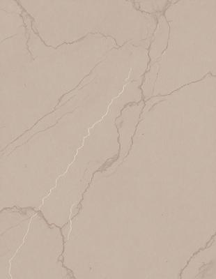 The primary subject of the image is a marble countertop with a long, thin line running through it. The setting is a kitchen, and the visual style is a close-up of the marble countertop. The colors and mood of the image are predominantly neutral, with the marble countertop being the main focus.