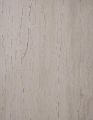 The primary subject of the image is a wall with a wooden texture. The setting is a room with a wooden surface, possibly a wall or a table. The visual style is a close-up of the wooden surface, showcasing its texture and details. The colors and mood of the image are predominantly neutral, with a focus on the wooden texture and its natural appearance.