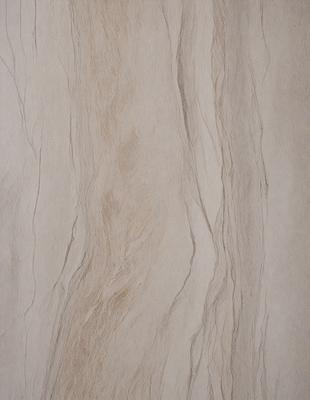 The primary subject of the image is a tree trunk, which is the main object in the scene. The setting is a wood-like surface, possibly a wall or a piece of artwork, with a brown and white color scheme. The visual style appears to be a combination of a photo and a drawing, creating a unique and artistic representation of the tree trunk. The overall atmosphere of the image is natural and organic, with a focus on the intricate details of the tree's texture.
