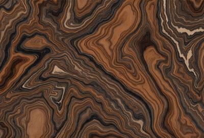 The primary subject of the image is a close-up of a wooden surface, possibly a table or a piece of wood. The setting is indoors, with the wooden surface being the main focus of the image. The visual style appears to be a close-up of a natural texture, possibly a piece of wood or a table. The colors and mood of the image are predominantly brown and earthy, giving it a natural and warm atmosphere.