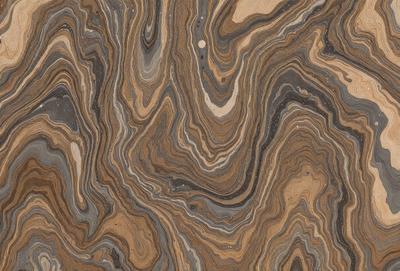 The primary subject of the image is a close-up of a marbled stone surface. The setting is a natural environment, with the stone surface being the main focus of the image. The visual style is a close-up, which emphasizes the intricate patterns and textures of the marbled stone. The colors and mood of the image are predominantly earthy tones, giving it a natural and organic feel.