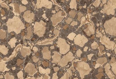 The primary subject of the image is a patterned surface, which appears to be a marble or stone texture. The setting is a close-up of the pattern, showcasing the intricate details and colors. The visual style is a combination of a photo and a digital art, as it captures the natural texture of the material while also highlighting the artistic elements of the pattern. The colors and mood of the image are warm and earthy, with a focus on the natural tones and patterns of the marble or stone
