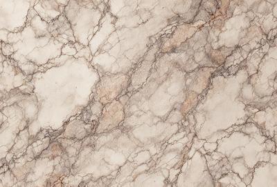 The image features a marble wall with a brown and white color scheme. The wall is covered in a pattern of brown and white marble, giving it a unique and elegant appearance. The marble wall serves as a beautiful backdrop for the scene, enhancing the overall visual style of the image.