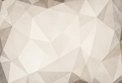 The primary subject of the image is a white and grey geometric pattern. The setting is a white and grey background, which creates a clean and minimalist appearance. The visual style is a combination of digital art and illustration, as the pattern is intricate and detailed. The dominant colors are white and grey, which contribute to a calm and serene atmosphere.