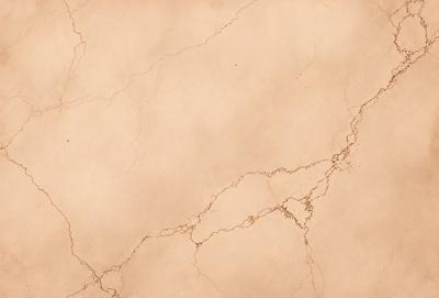 The primary subject of the image is a brown marble wall with a cracked texture. The setting is a room with a brown marble wall as the main focus. The visual style is a close-up of the marble wall, showcasing its unique texture and appearance. The colors and mood of the image are warm and earthy, with the brown marble wall serving as the main point of interest.