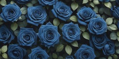The primary subject of the image is a large group of blue roses. The setting is a dark background, which contrasts with the vibrant blue color of the roses. The visual style is a close-up of the roses, showcasing their details and beauty. The colors and mood of the image are predominantly blue, creating a serene and calming atmosphere.