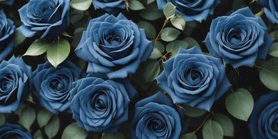 The primary subject of the image is a group of blue roses. The setting is a garden, with the blue roses surrounded by green leaves. The visual style is a close-up of the blue roses, showcasing their vibrant color and intricate details. The overall atmosphere is serene and peaceful, as the blue roses are the main focus of the image.