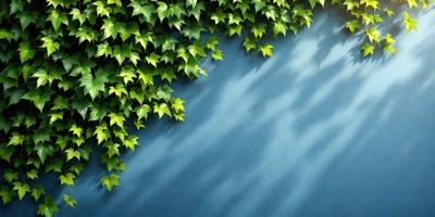 The primary subject of the image is a large green plant with leaves and vines growing on a blue wall. The setting is an outdoor environment, with the plant growing on a wall, possibly in a garden or a similar space. The visual style of the image is a combination of photo and digital art, creating a realistic yet artistic representation of the plant. The dominant colors in the image are green and blue, with the green plant and blue wall creating a serene and natural atmosphere.