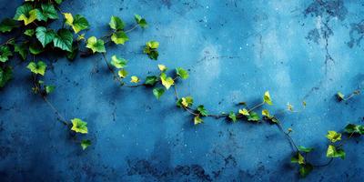 The primary subject of the image is a green vine growing on a blue wall. The setting is an indoor environment, possibly a room or a building. The visual style is a photo, capturing the vine's growth and the blue wall's texture. The colors are predominantly green and blue, creating a calm and serene atmosphere.