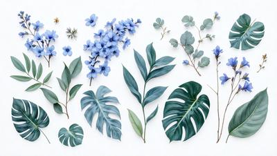 The image features a collection of various plants, including blue flowers and green leaves. The plants are arranged in a visually appealing manner, with some placed on a white surface. The primary subject of the image is the diverse assortment of plants, showcasing their beauty and natural charm. The setting is a clean and organized space, allowing the plants to be the main focus. The visual style of the image is a combination of realistic elements, such as the plants, and artistic elements, like the arrangement and composition of the plants