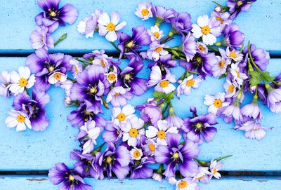 The primary subject of the image is a blue table with a purple flower arrangement on it. The setting is an outdoor environment, with the table being the main focus of the scene. The visual style is a photo, capturing the beauty of the flowers and the table. The dominant colors in the image are purple and blue, creating a calm and serene atmosphere.