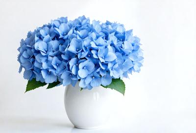 The primary subject of the image is a white vase filled with blue flowers. The vase is placed on a white surface, which creates a clean and minimalist appearance. The blue flowers in the vase are the main focus of the image, and their color adds a sense of calmness and tranquility to the scene. The overall atmosphere of the image is serene and inviting.