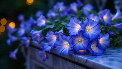 The primary subject of the image is a group of blue flowers, possibly hydrangeas, arranged in a vase or on a stone surface. The flowers are lit up, creating a visually appealing and warm atmosphere. The setting appears to be an outdoor environment, with the flowers placed on a stone surface or a ledge. The visual style of the image is a close-up of the flowers, emphasizing their beauty and details. The dominant colors in the image are blue and white, with the blue flowers being the main focus.