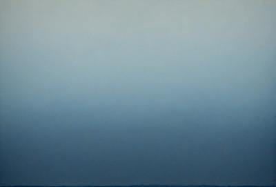 The primary subject of the image is a large, dark blue sky. The setting is a cloudy day, with the sky being the main focus of the image. The visual style is a natural, outdoor scene. The colors and mood of the image are predominantly dark and moody, with the blue sky being the main color.