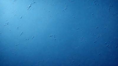 The primary subject of the image is a blue wall with a textured surface. The setting is a room with a blue background. The visual style is a close-up of the blue wall, which gives a sense of depth and texture. The dominant colors are blue and white, creating a calm and serene atmosphere.