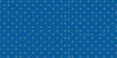 The primary subject of the image is a blue background with white dots. The setting is a blue surface, and the visual style is a pattern with white dots. The colors and mood of the image are predominantly blue and white, creating a calm and soothing atmosphere.