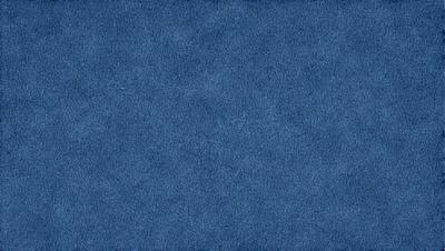 The primary subject of the image is a blue carpet. The setting is a blue background, which creates a visually appealing contrast with the carpet. The visual style is a close-up of the carpet, showcasing its texture and color. The dominant colors are blue and grey, giving the carpet a calm and soothing atmosphere.