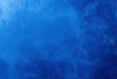 The primary subject of the image is a blue sky with a few white clouds. The setting is an open, cloudy sky, and the visual style is a natural, outdoor scene. The colors and mood of the image are predominantly blue and calm, creating a serene atmosphere.